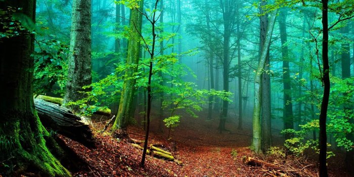 1600x900 Desktop Wallpapers Hd, Landscape Desktop Wallpaper, #915