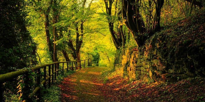 1366x768 Landscape Desktop Backgrounds