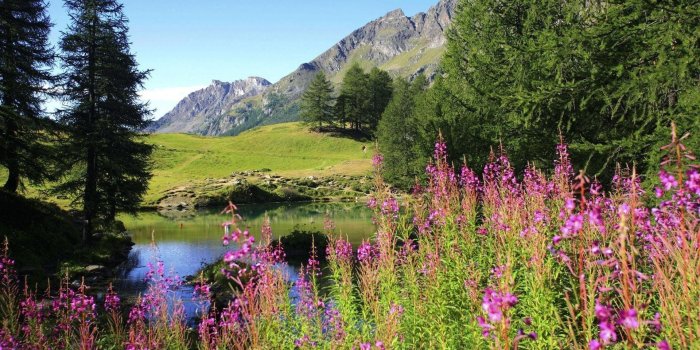 1920x1200 Beautiful, Landscape, Hd, Desktop, Wallpaper, Background, - Field