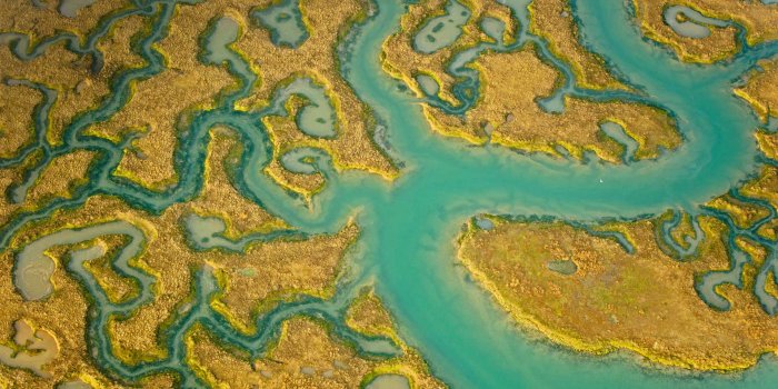 1920x1080 Salt Marsh – Bing Wallpaper Download