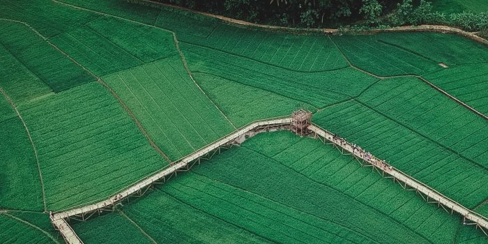 1536x2048 Man Made/Farm (1536x2048) Wallpaper ID: 829297