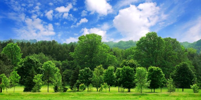 1366x768 Beautiful Summer Landscape Ultra HD Desktop Background Wallpaper