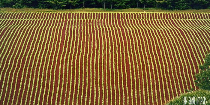 5120x3173 Agriculture, aerial photo of brown and green field, Nature