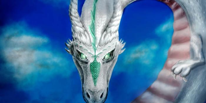 1244x700 TERRARIA action sandbox adventure fantasy exploration dragon