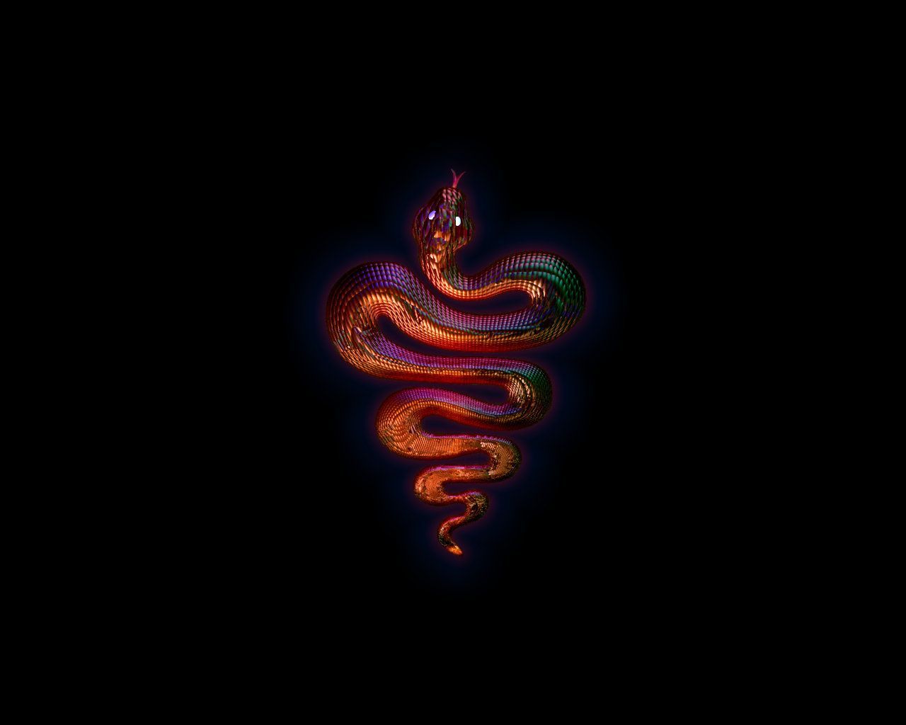 1280x1024 Black Snake Skin Wallpaper | Snake wallpaper, Snake, Black mamba snake