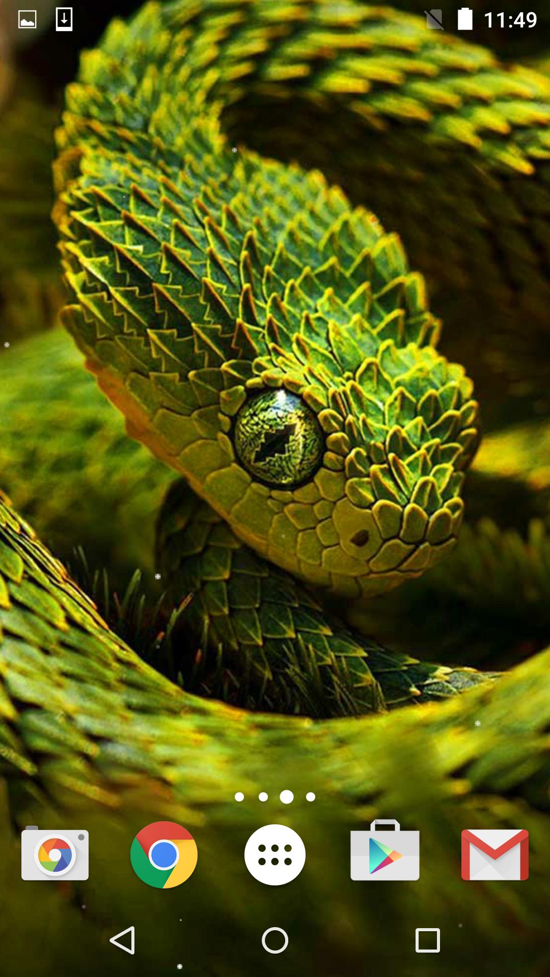 1080x1920 Snake Live Wallpaper HD for Android - APK Download