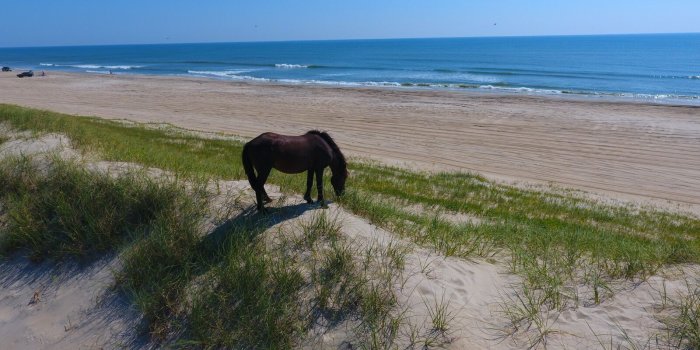 1600x1200 Outer Banks Vacation Rentals | Brindley Beach Vacations & Sales