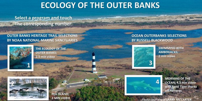 1600x900 Ecology of the Outer Banks wallpaper « Hatteras Island Ocean Center