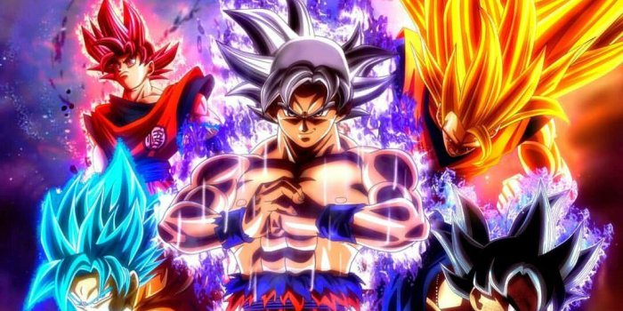 1080x766 Goku Mastered Ultra Instinct Wallpaper HD for Android - APK