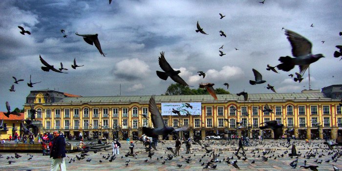 2560x1600 Square Pigeon Bogota – Colombia | Colombia, Bogota colombia