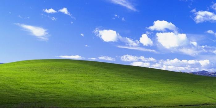1100x885 The Story Behind the World's Most Famous Desktop Background