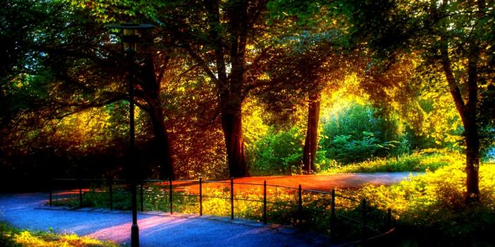 1600x1000 Black Ops Wallpaper Famous Quote Wallpapers Margot - Most