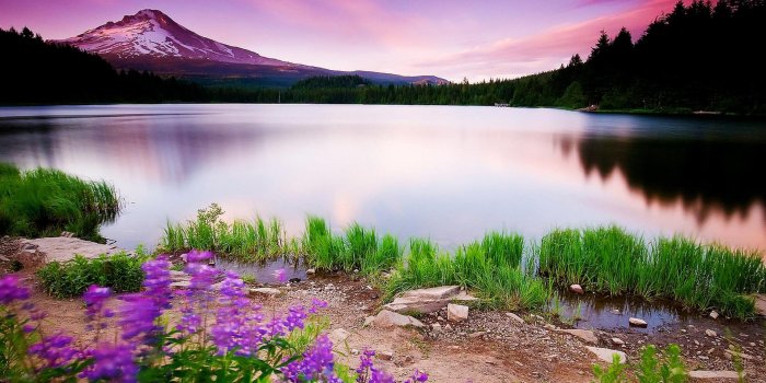 1920x1440 Free download Beautiful view wallpaper hd Full HD Wallpapers