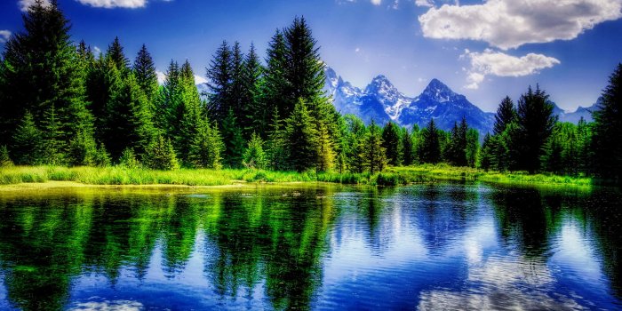 2560x1520 Mobile Nature Views Pictures - 4K Ultra HD