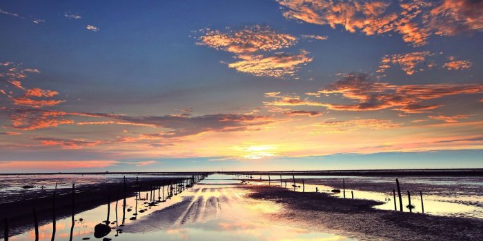 1920x1200 Stunning forest photography HD wallpaper | Nature, Clouds, Hd