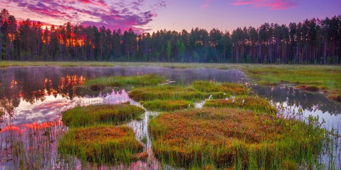 1157x733 Mobile Nature Views Pictures - 4K Ultra HD