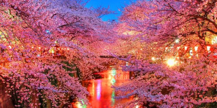 1024x768 High Definition Images Collection of Beautiful Views: Ju Annell