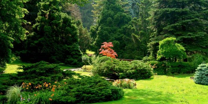 1154x864 Best 33+ Most Famous Wallpapers on HipWallpaper | Most Amazing