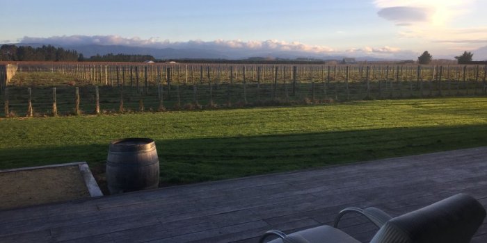 1024x768 Stunning views of the Tararuas adjacent to a vineyard with distant