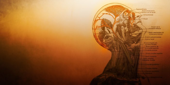 1920x1080 Medical Desktop Backgrounds ·① WallpaperTag