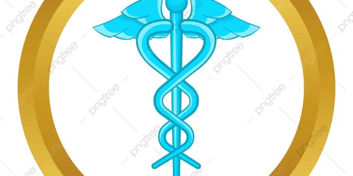 1200x1200 Caduceus Medical Symbol Vector Icon, Cartoon, Health, Snake PNG
