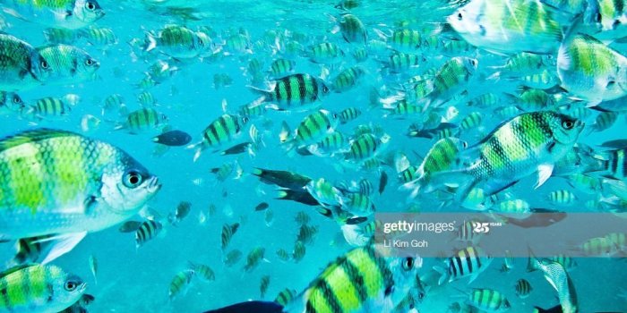 1024x768 Stunning Views Of Ko Samui High-Res Stock Photo - Getty Images