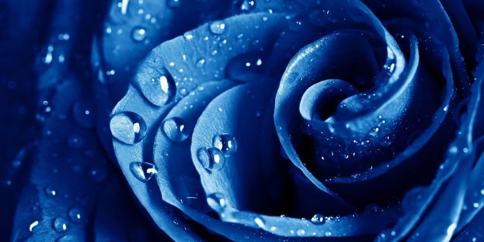 2560x1600 Pretty Blue Backgrounds ·① WallpaperTag