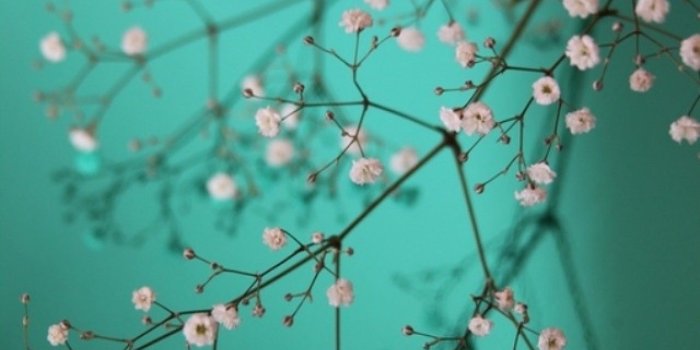 1280x800 Pretty Phone wallpaper | 1280x800 | #32996