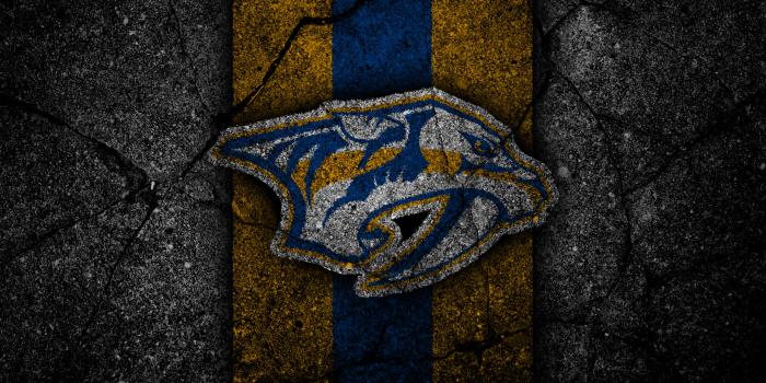 3840x2400 Nashville Predators 4k Ultra HD Wallpaper | Background Image
