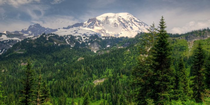 2880x1800 Com Quality - Pine Tree Forest Mountain - 2880x1800 Wallpaper