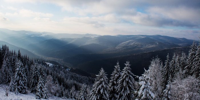 3264x2176 nature, Landscape, Sun Rays, Winter, Snow, Trees, Pine Trees