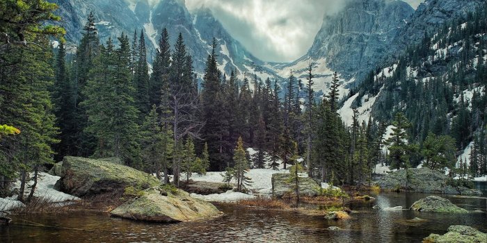 2369x1333 Pine Tree Wallpapers posted by John Tremblay