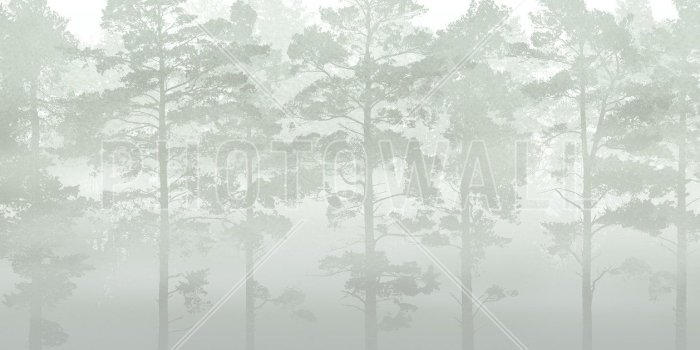1258x699 Misty Pine Forest - Green – trendy wall mural – Photowall