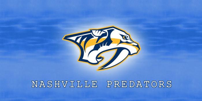 1920x1200 Hockey, nashville, nhl, predators, HD wallpaper | Wallpaperbetter