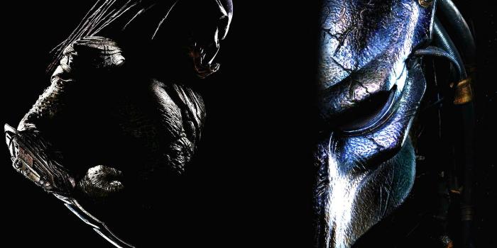 1920x1440 predators, Action, Adventure, Sci fi, Predator, Alien Wallpapers