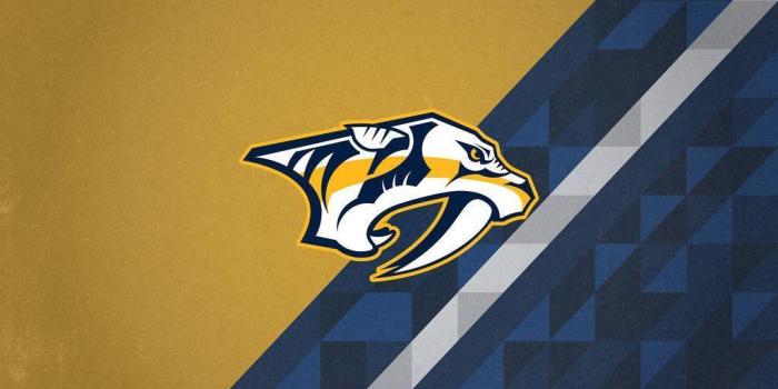 1024x768 Nashville Predators Wallpapers