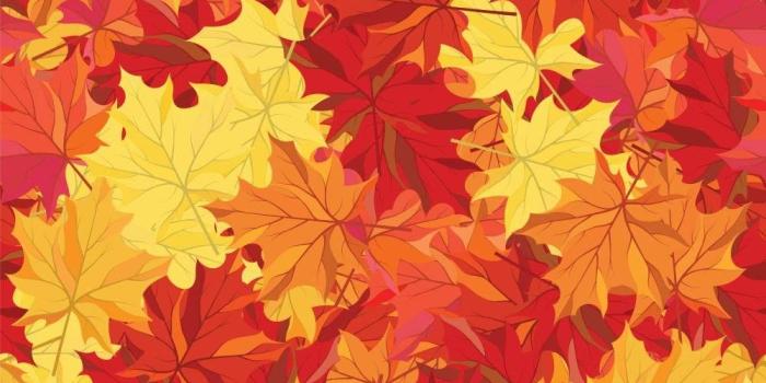 1000x1000 Amazon.com: Wallmonkeys Seamless Autumn Maple Leaves Wallpaper