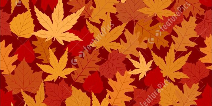 1300x1100 Plants: Vibrantly Colored Autumn Leaves Wallpaper - Stock