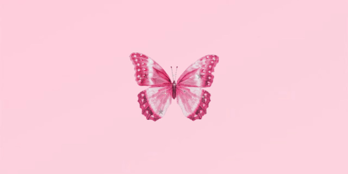 721x1280 ButterFLY away! #foundonweheartit #iphonebackground #phonebackgrou