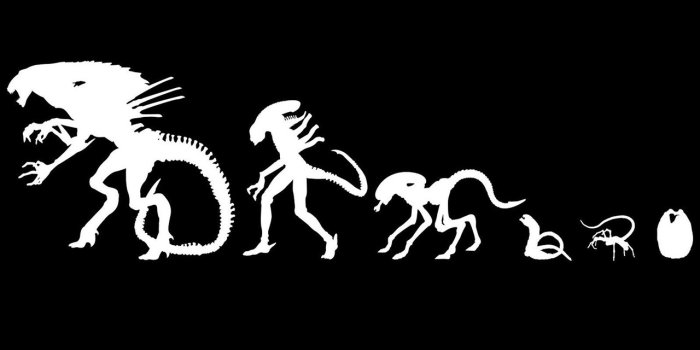 1280x960 Download Stock Photos Of Alien Head 3d For Wallpaper Images