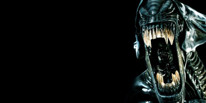 1600x1000 Alian Wallpapers Group (82+)