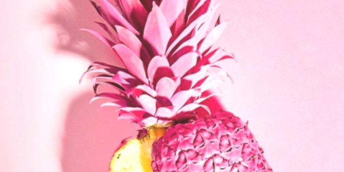 720x1093 Iphone Wallpaper Aesthetic Westwing Diy Ananas Pink - Pink