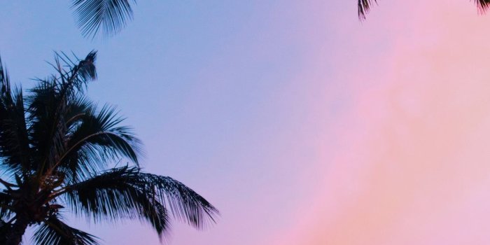 1125x2436 Best Pink iPhone X Wallpapers Free HD