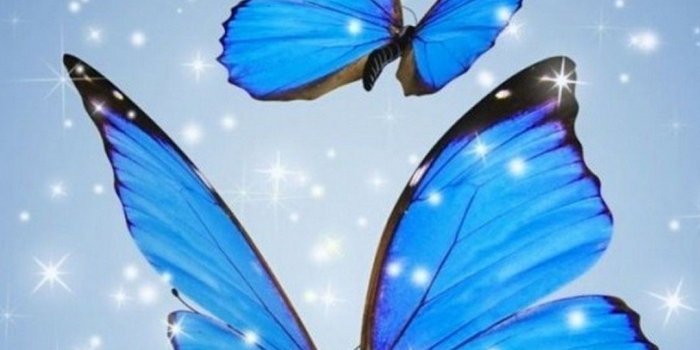 1080x1920 Blue Butterfly Water Reflection Blue Butterfly Water - Hd