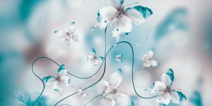 1332x850 Wallpaper butterfly, petals, blue, water, butterflies, floral