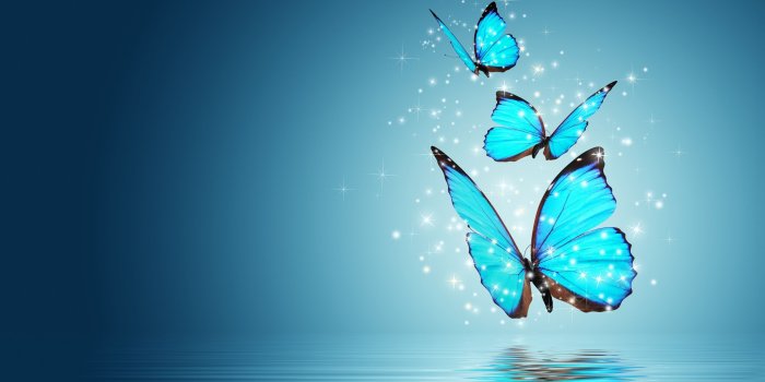 2880x1800 Blue Butterfly Wallpapers - Top Free Blue Butterfly Backgrounds