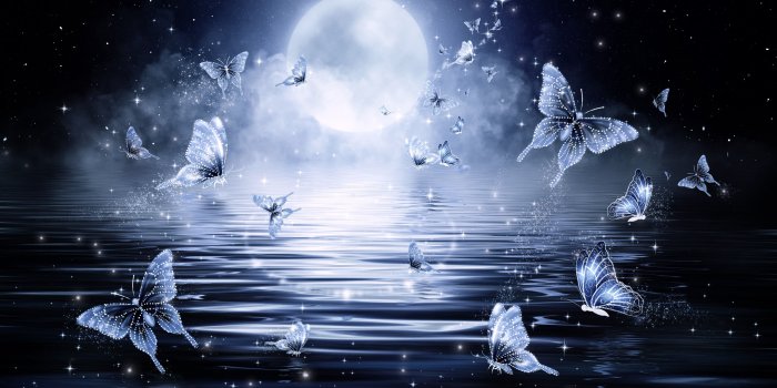 3792x2560 Photo of butterfly flying near body of water during full moon
