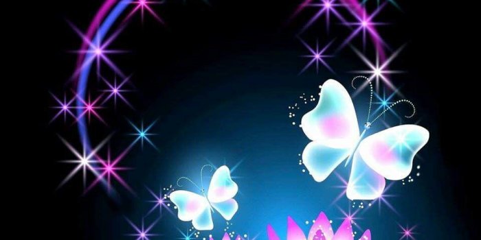 960x853 Butterfly, lotus flower, stars, water | Butterfly wallpaper