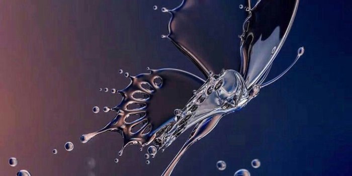 736x1308 christine whitney on awsome art | Butterfly wallpaper