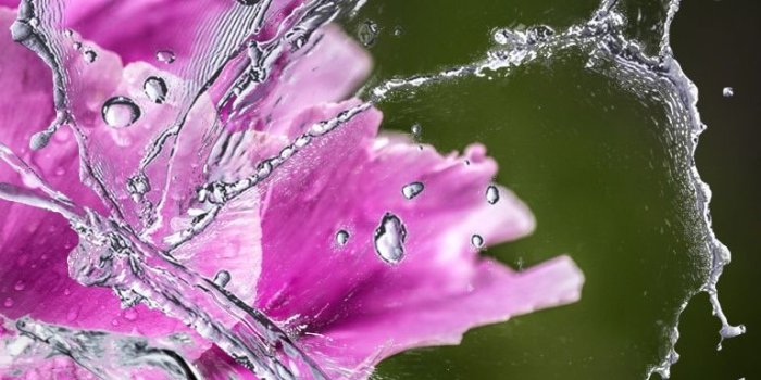 768x1280 Water Butterfly Ultra HD Desktop Background Wallpaper for 4K UHD